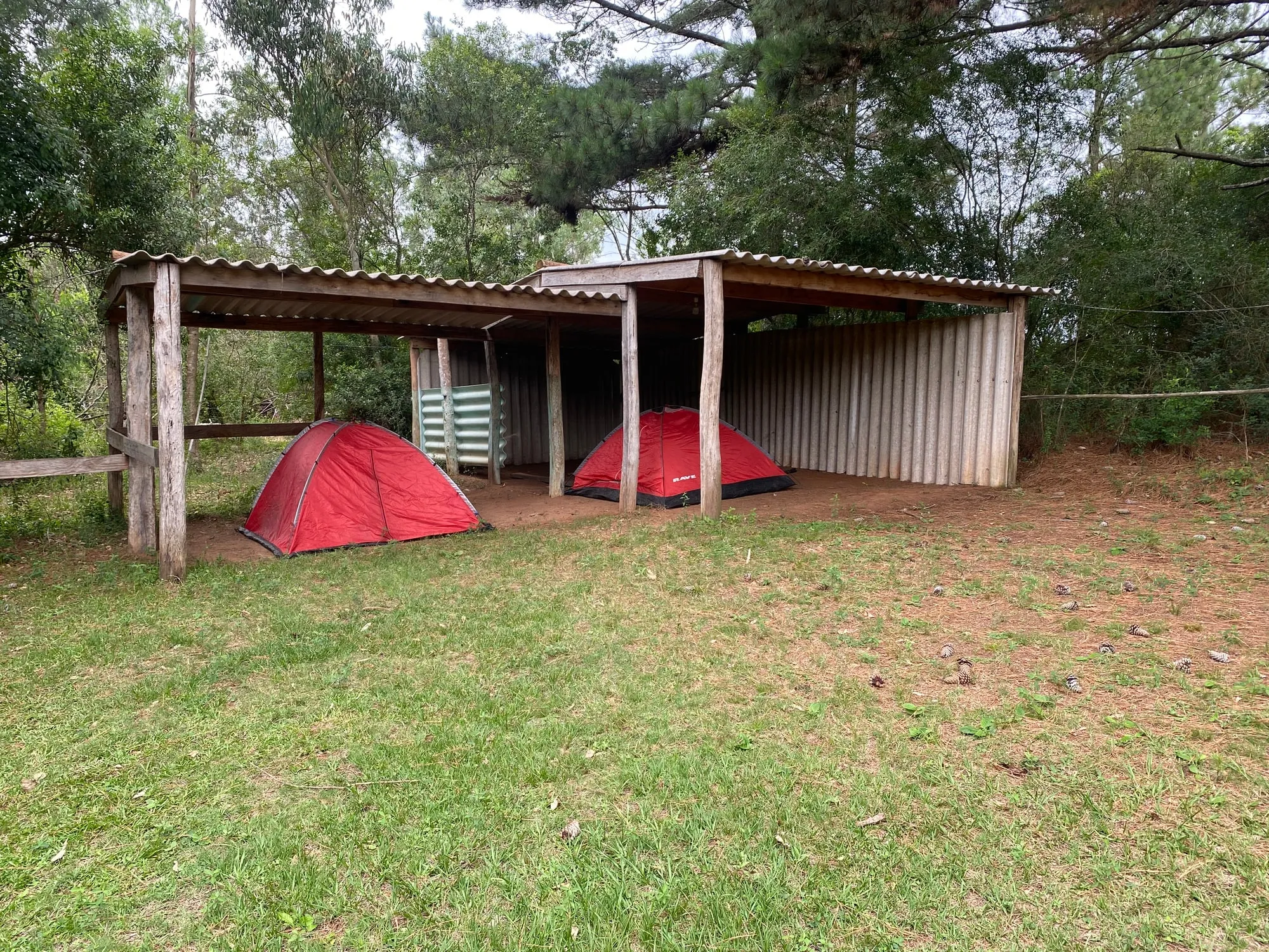 Área techada destinada a las carpas