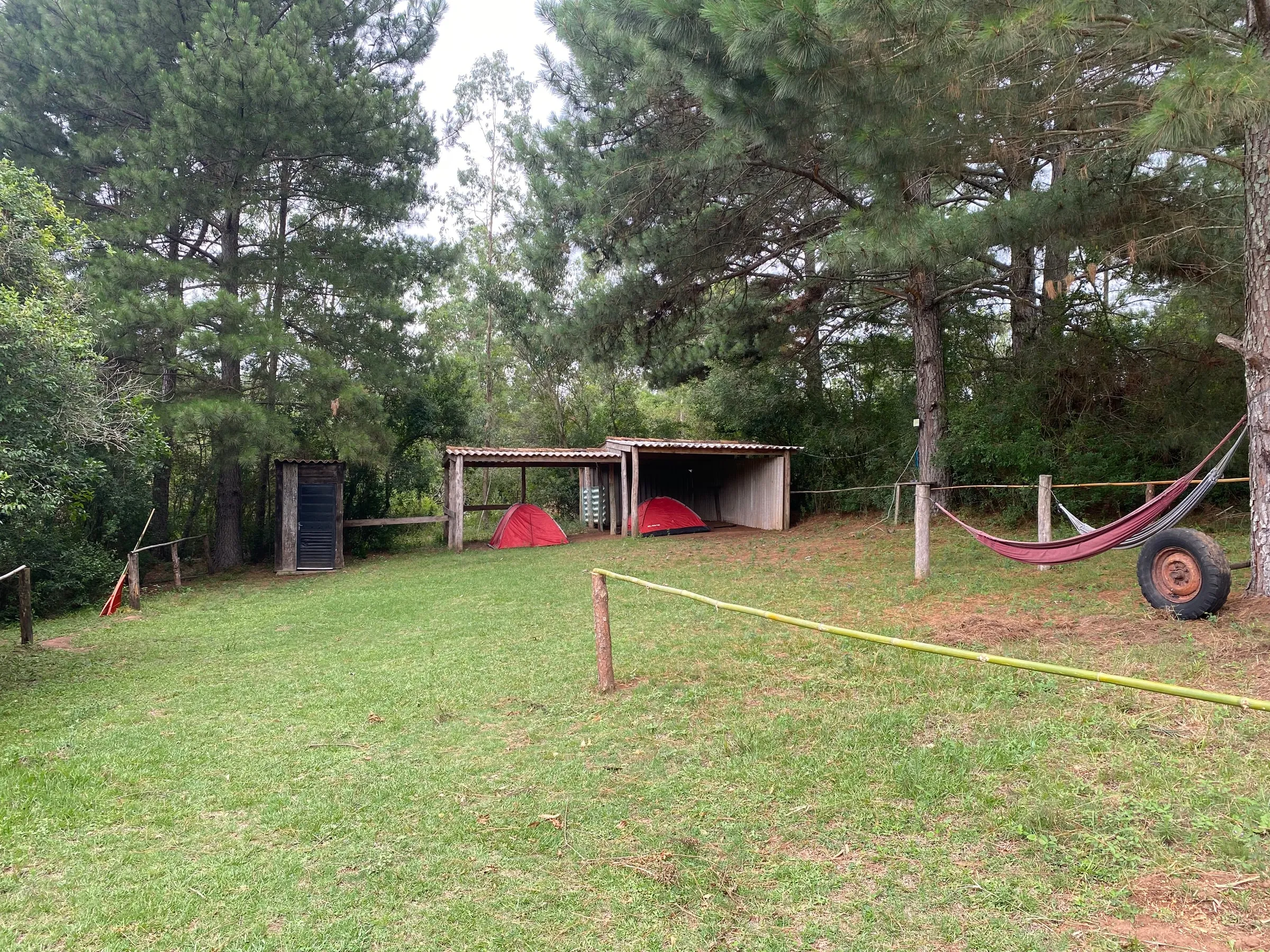 Área de Camping El Caimán rodeada de árboles