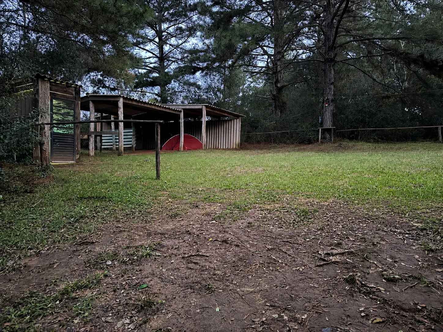 Predio de Camping El Caimán entre los árboles